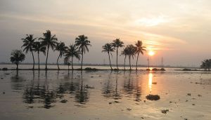 800px-Kerala_Backwaters_Sunset