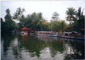 Around_Alappuzha_backwaters_Kerala